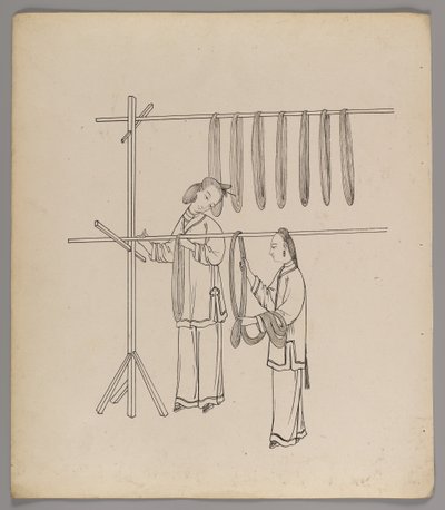 Album med separate blader: Silke Cultivation and Production (blekk på papir) (se også 499288-303) av Chinese School