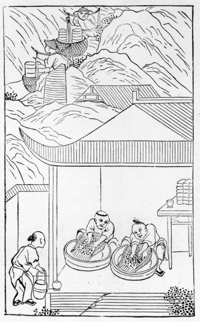 Samle og vaske den blå emaljen for farging, fra en serie illustrasjoner om fremstilling av porselen (se 384116 og 384117 for hele serien) av Chinese School