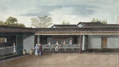 Tørking av teblader (wc på papir) av Chinese School