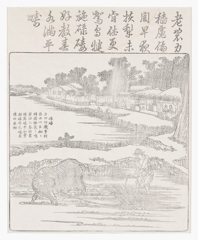 Harving av rismarken, 1700-tallet av Chinese School