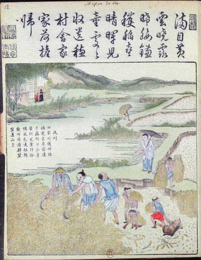 Harvest, The Rice Culture in China (farget treblokktrykk) av Chinese School