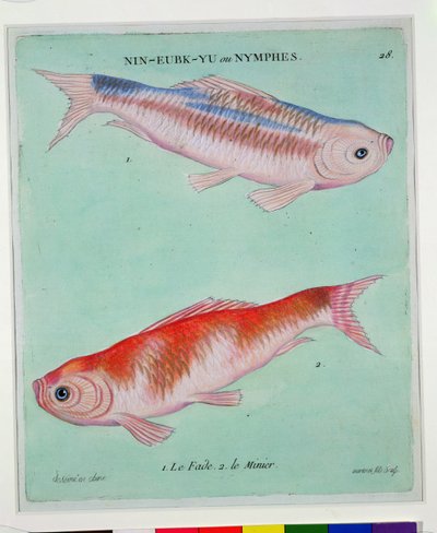 Le Fade, Le Minier, gravert av Francois Nicholas Martinet (1731-s.1796) (trykk) av Chinese School