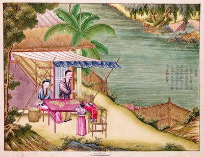 Ms 202 f.6 Sorting the Cocoons, fra en bok om silkeindustrien (wc på papir) av Chinese School