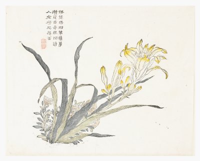 Sennepsfrøhage av Chinese School