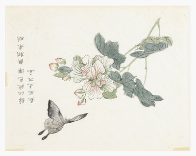 Sennepsfrøhage av Chinese School