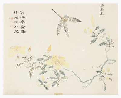 Sennepsfrøhage av Chinese School
