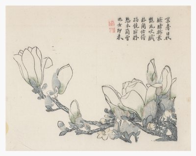 Sennepsfrøhage av Chinese School