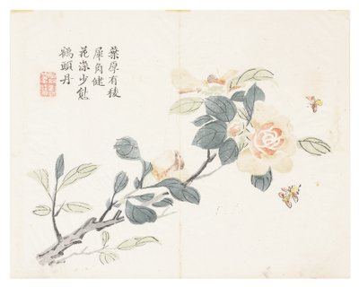 Sennepsfrøhage av Chinese School