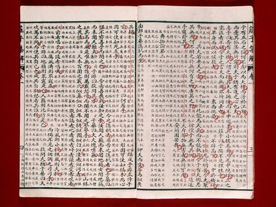 Side fra en poesibok av Chuang-Tzu (blekk på papir) av Chinese School