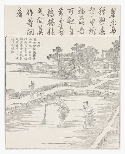 Såing av risen i et frøbed., 1700-tallet av Chinese School