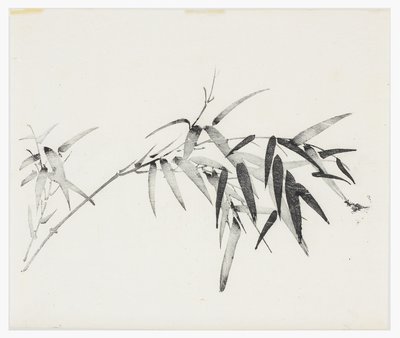 Ten Bamboo Series, 1700-tallet av Chinese School