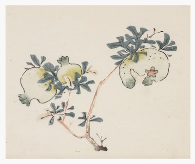 Ten Bamboo Series, 1700-tallet av Chinese School