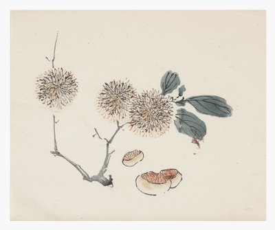 Ten Bamboo Series, 1700-tallet av Chinese School