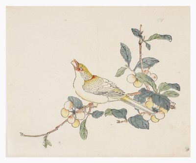 Ten Bamboo Series, 1700-tallet av Chinese School