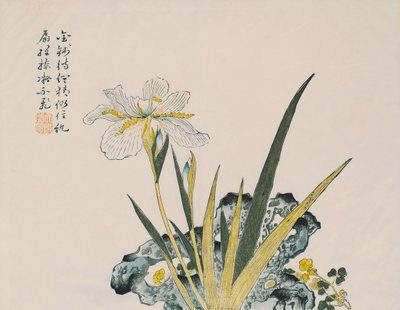 Hagen så stor som et sennepskorn, 1600-1700-tallet av Chinese School