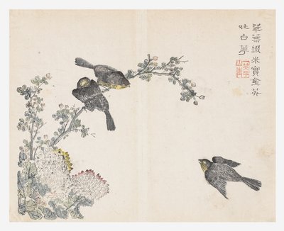 Sennepsfrøhage av Ching yu Chiu