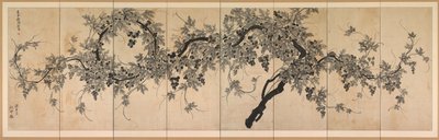 Grapevine av Choe Seok hwan