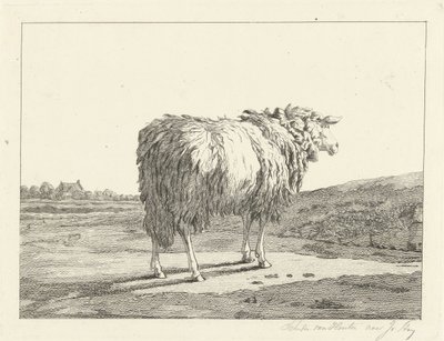 Sauer i et landskap av Christiaan Godfried Schutze van Houten