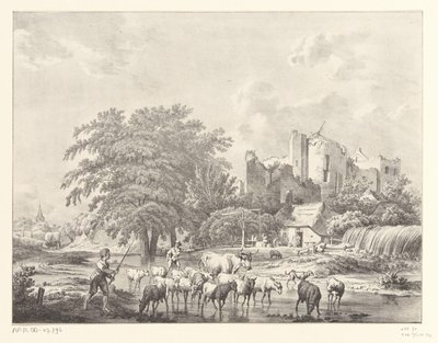 Storfeflokk ved ruinene av Brederode Kasteel Castle av Christiaan Josi