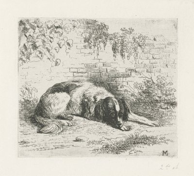 Liggende hund foran en vegg av Christiaan Wilhelmus Moorrees