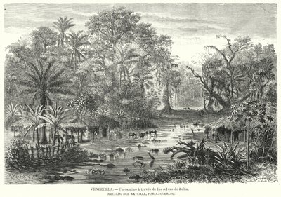Vei gjennom jungelen i Zulia, Venezuela (litho) av Christian Anton Goering