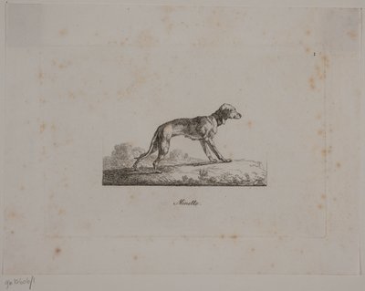 Minette av Christian David Gebauer