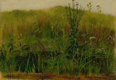 Planter på bredden av Christian Friedrich Gille