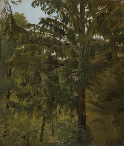 Gran i løvskogen av Christian Friedrich Gille