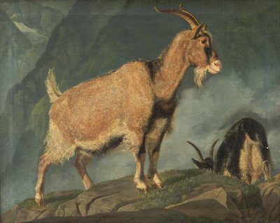 Geiter i Alpene av Christian Holm