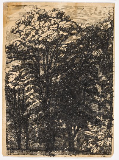 Trær av Christian Kongstad Petersen