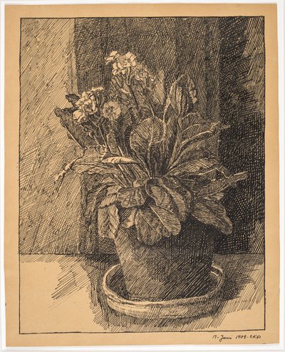 Blomsterpotte med primula av Christian Kongstad Petersen