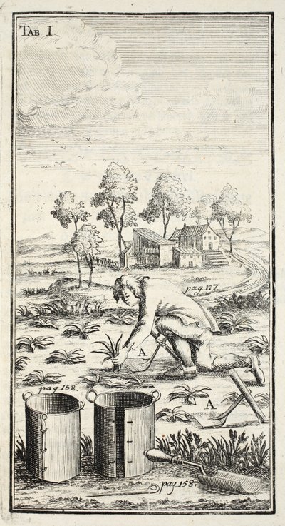 Gardener Harvesting, pub. Erfurt i Thüringen, 1753-55 av Christian Reicharts