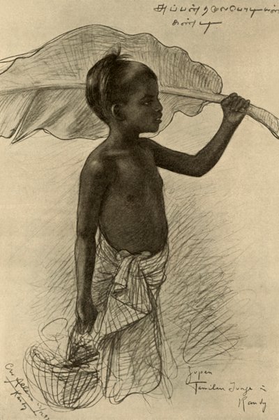 Tamilsk gutt, Kandy, Ceylon, 1898. av Christian Wilhelm Allers