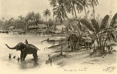 Vasker en elefant i elven, Colombo, Ceylon, 1898. av Christian Wilhelm Allers