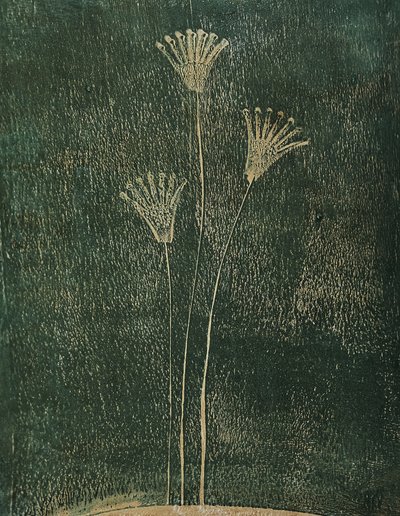  av Christina Misuro