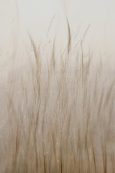  av Christina Sillen