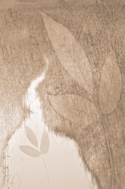  av Christina Sillen