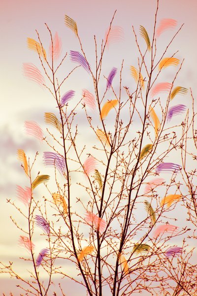  av Christina Sillen