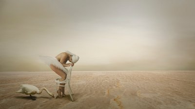 Svanedanseren i ensomhet av Christine von Diepenbroek