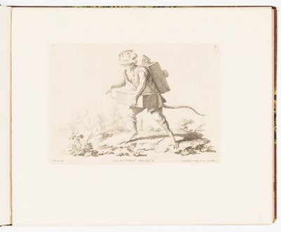Plate 3, The Magic Lantern, Monkey Antics eller Different Actions of Human Life represented by Monkeys av Christophe Huet