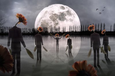 Blomsterfigurer i måneskinn av Christophe Kiciak