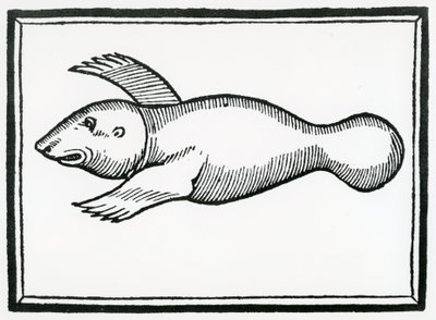 En fisk kalt 
