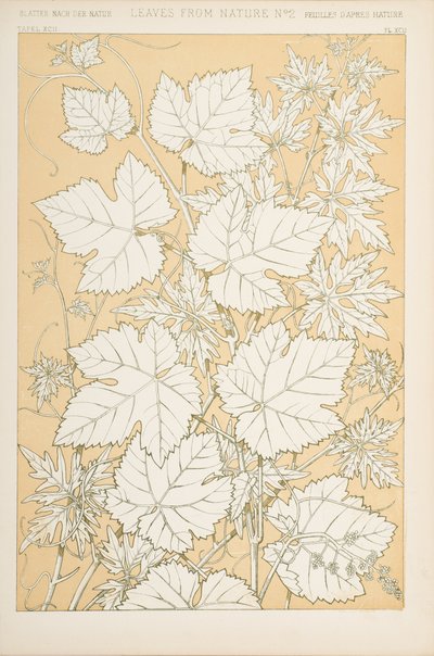 Blader fra naturen, 1868 (chromolitho) av Christopher Dresser