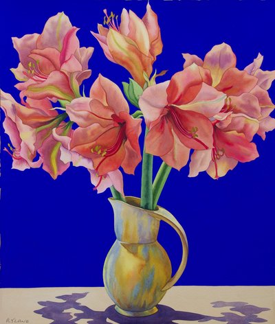 Amaryllis i en mugge, 2007 (wc og gouache på papir) av Christopher Ryland