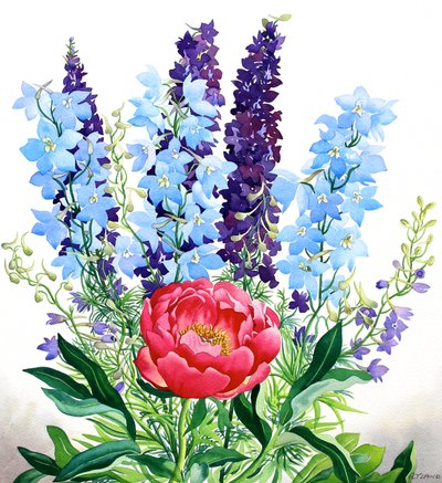 Blå Delphiniums av Christopher Ryland