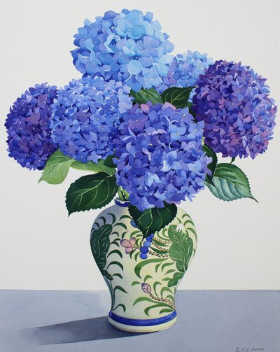 Blå hortensia (akvarell på papir) av Christopher Ryland