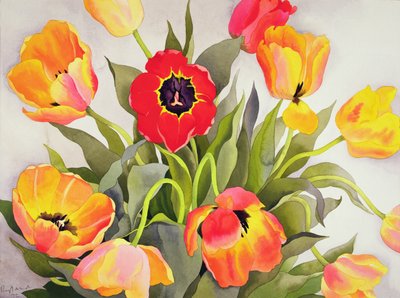 Oransje og røde tulipaner (wc) av Christopher Ryland