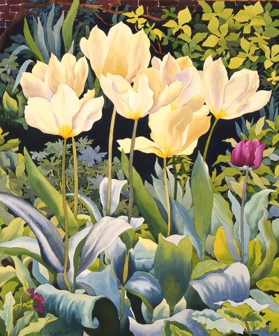 Bleke tulipaner (akvarell på papir) av Christopher Ryland