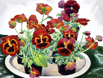 Stemorblomster, 2018 (akvarell på papir) av Christopher Ryland