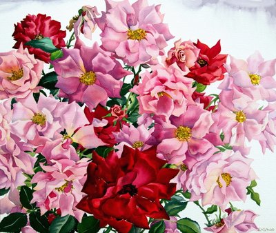 Røde og rosa roser, 2008 (wc på papir) av Christopher Ryland